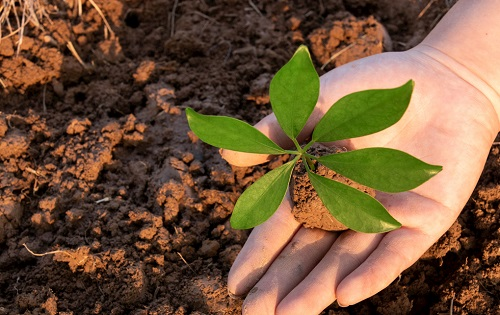 1649654192113338.png image.png