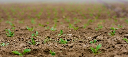 1652066691284398.png image.png