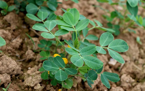 1658294421247510.png image.png