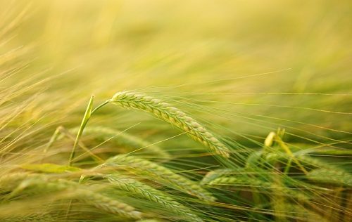 1664508770158729.png image.png