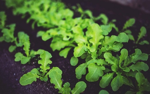 1665467668184990.png image.png