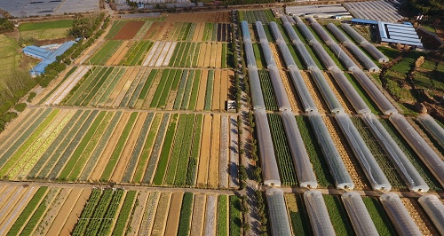 1665716991199092.png image.png