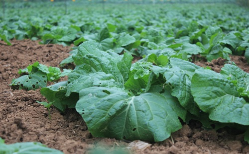 1667463703189062.png image.png