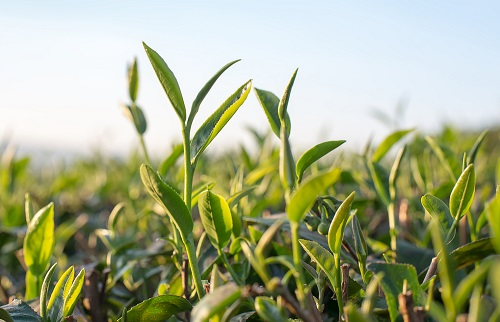 1672986030121400.png image.png