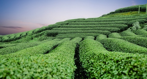 1677468104666919.png image.png